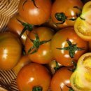 정이농장 이미지