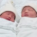 분당-140 | 분당제일여성병원 쌍둥이 응급 제왕절개 후기 (이희종 부원장님)