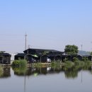 노진낚시터 이미지