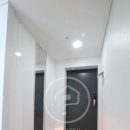 아델리아 이미지