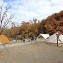 초막골생태공원 캠핑장 이미지