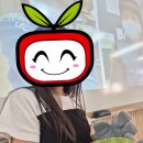 변신의 귀재 카멜레온 이미지