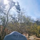 수원시 팔달구 향교로137번길 이미지