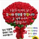 🌹5월의 끝자락에 전하는 축복의 메시지 🌹 이미지