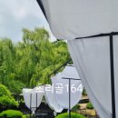 파주 카페 초리골 164 초리골 도토리새싹요리