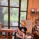 캄파슬로우캠핑장 | 원주 캄파슬로우 캠핑장 / 6살 아이와 캠핑