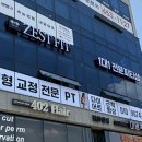 제스트핏 피티샵 이미지