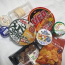고즈넉한 꿈을 꾼 오사카 관광객의 이야기