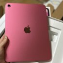 Apple tree PC카페 | 아이패드 11세대(A16) 미니와 전격 비교 애플펜슬 내돈내산