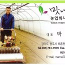 옥정초등학교 이미지