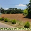 마중리 이미지