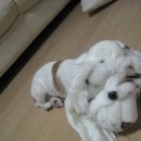 안녕, 애기 이미지