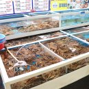 시장연다라 이미지