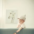벽 절 정 이미지