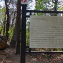 국사봉 지석묘군 이미지