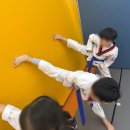 바르다 태권도 이미지