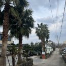 카프리애월민박 이미지