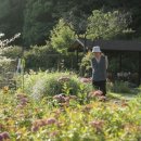 flowerstory