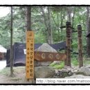 효자동 박태성정려비및묘 이미지