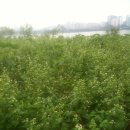 웰빙보부상 이미지