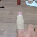 헤어자르멘