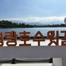 속초 수국축제/ 속초 수목 농원 무료 관람 후기♡