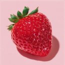 하지정맥류의 치료와 예방 이미지