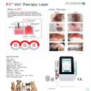 아이봄 동물병원 이미지