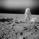 암스트롱 이미지