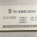 울산에스동물메디컬센터 이미지