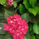 대구역광장 이미지