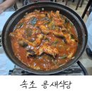 속초사잇길 제2길 | 속초 장치조림 로컬 맛집 내돈내산 후기 : 콩새식당
