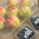 훈훈한 과일 중동 이미지