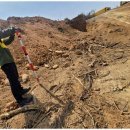 천안아산부동산파트너공인중개사사무소 이미지