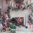 아보네 멍빌리지 이미지