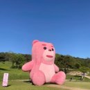 창무합기도 이미지