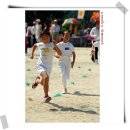 남양주양지초등학교 이미지