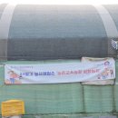 절골농장 | 놓치면 후회! 농촌 투어패스 삼화농원 배따기 체험 후기