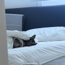 설천기름집 | 진짜 재밌어요 한번만 봐주세요