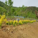 사철농장 이미지