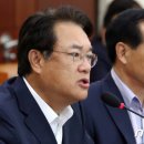 정진석 카카오 검색결과