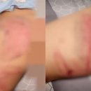 충남2태권도장 이미지