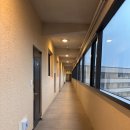 경주대학교박물관 | 경주벚꽃여행🌸 한화리조트경주│경주여행의 행복한 기억을 심어준 숙소