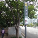 반여3동-10 이미지