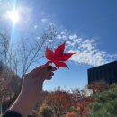 유속1길 | [ 충북 _ 제천 ] 힐링여행 :: 리솜포레스트 / 마묵라운지 / 더그릴720 / 둥지치킨 / 옹심이들깨메밀칼국수