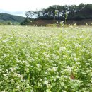 영춘농장 이미지