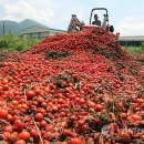 춘천농협 산지유통센터 이미지