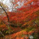 한국삼육고등학교 이미지