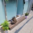 양학약국 이미지