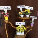 위례베스트의원 | 5월 일상(5.1~12)｜아주 조금 바쁜 만삭 임산부 일상 ( 셋로그, 빨래공장, 성수 나들이, 가정의 달...